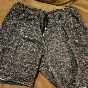 Public Record Men shorts